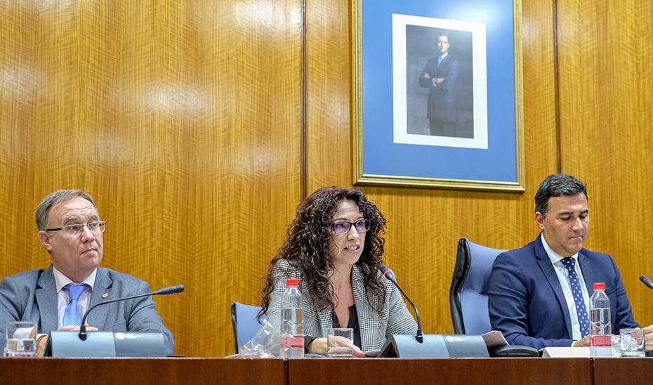 La consejera de Igualdad, Políticas Sociales y Conciliación, Rocío Ruiz, durante su comparecencia.